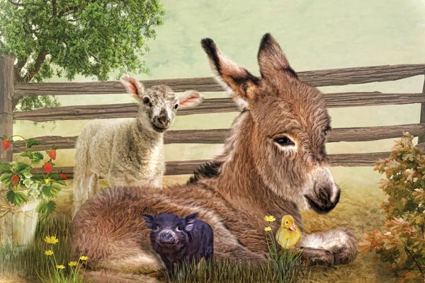 Donkeys: A Little Rest by Trudi Simmonds