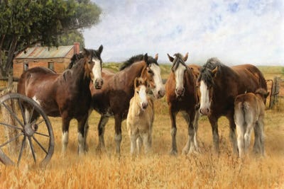 Forever by Trudi Simmonds metal wall art