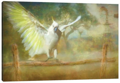 Cockatoo Dreaming Canvas Art Print - Unicorn Art