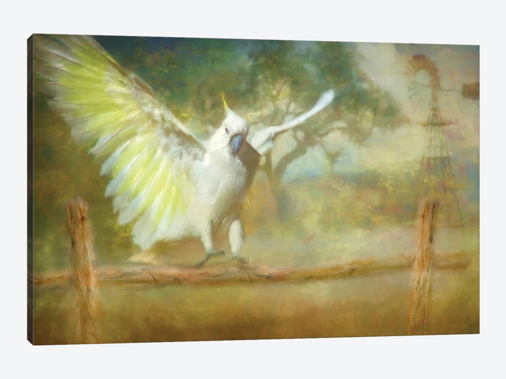 Cockatoo Dreaming by Trudi Simmonds 1-piece Canvas Artwork