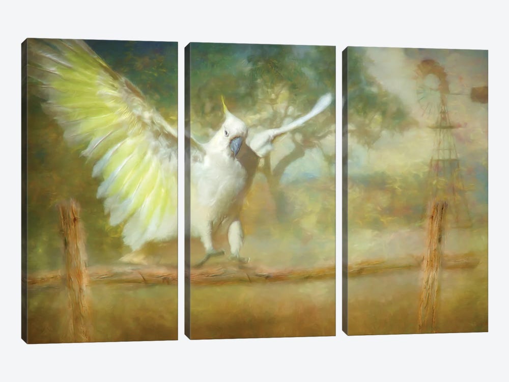 Cockatoo Dreaming by Trudi Simmonds 3-piece Canvas Artwork