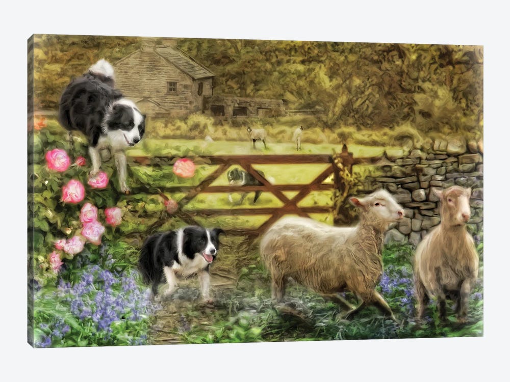 Collecting The Strays by Trudi Simmonds 1-piece Canvas Print