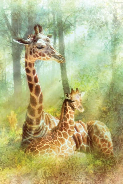 Giraffes: Dawns Hope by Trudi Simmonds