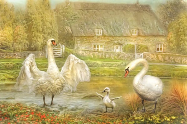 Swans: Early Preparations by Trudi Simmonds