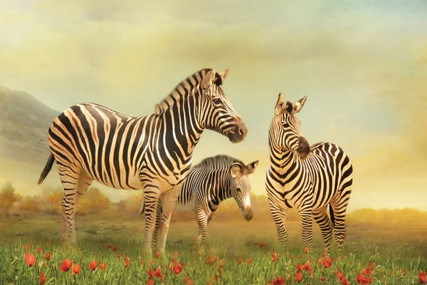 Zebras: Family Ties by Trudi Simmonds