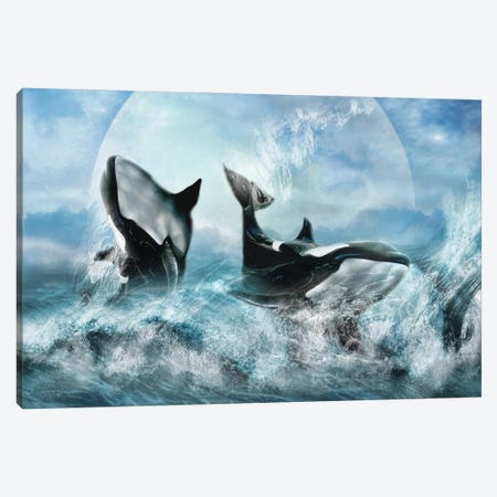 Orca Forever Canvas Print #TRO35} by Trudi Simmonds Canvas Wall Art