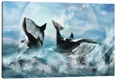 Orca Forever Canvas Art Print - Orca Whale Art