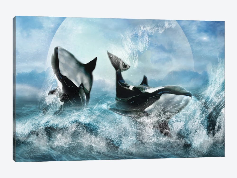 Orca Forever by Trudi Simmonds 1-piece Canvas Wall Art