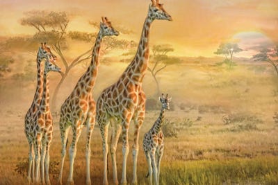 Giraffe Family by Trudi Simmonds metal wall art