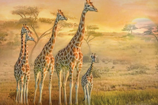 Giraffes: Giraffe Family by Trudi Simmonds