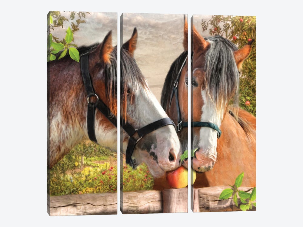 An Apple A Day by Trudi Simmonds 3-piece Canvas Print