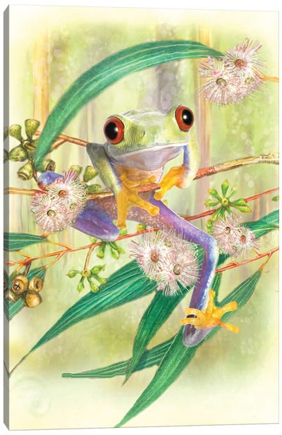Green Tree Frog Canvas Art Print - Frog Art