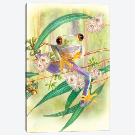 Green Tree Frog Canvas Print #TRO40} by Trudi Simmonds Canvas Wall Art