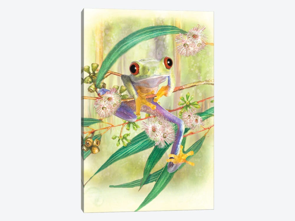 Green Tree Frog by Trudi Simmonds 1-piece Canvas Wall Art