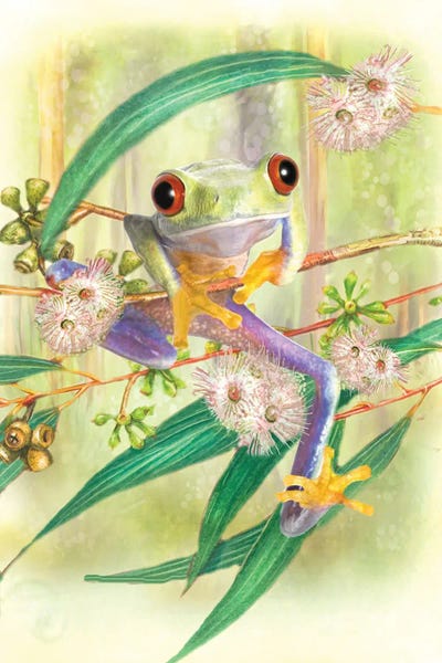 Frogs: Green Tree Frog by Trudi Simmonds