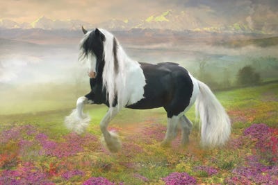 Gypsy Dancer by Trudi Simmonds metal wall art