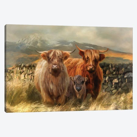 Hairy Coos Canvas Print #TRO42} by Trudi Simmonds Canvas Art