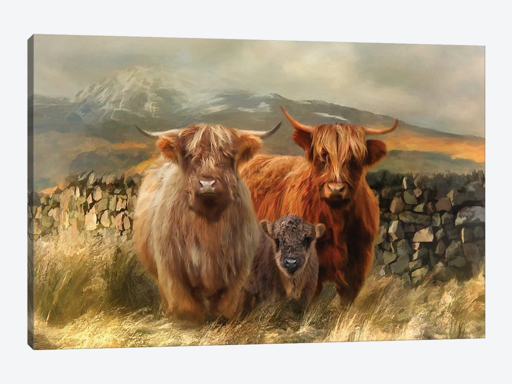 Hairy Coos by Trudi Simmonds 1-piece Canvas Wall Art