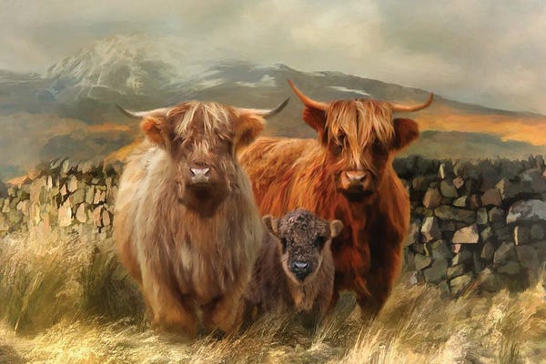 Farm Animals: Hairy Coos by Trudi Simmonds