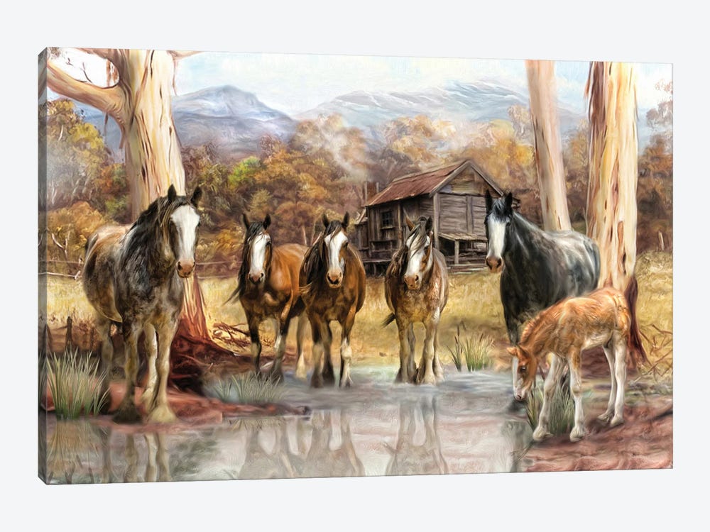 High Country Hideaway by Trudi Simmonds 1-piece Canvas Print
