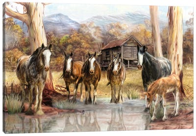 High Country Hideaway Canvas Art Print - Trudi Simmonds