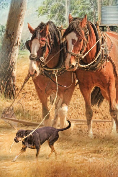 If You Want The Job Done by Trudi Simmonds metal wall art