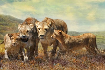 Kefira And Kesari by Trudi Simmonds metal wall art