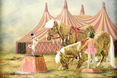 Last Minute Rehearsal by Trudi Simmonds metal wall art