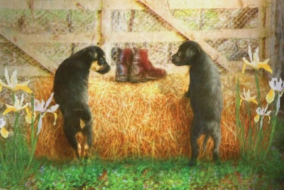 Lead Me Not Into Temptation by Trudi Simmonds metal wall art