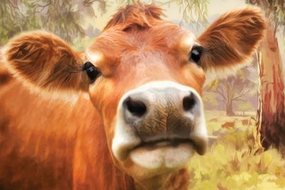 Little Jersey by Trudi Simmonds art print