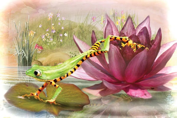 Frogs: Little Leap Frog by Trudi Simmonds