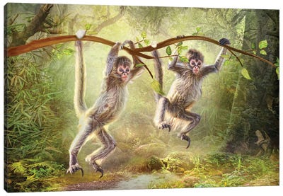 Little Monkeys Canvas Art Print - Monkey Art