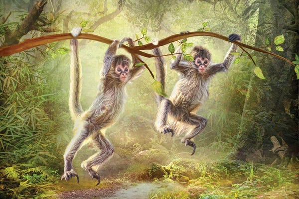 Monkeys: Little Monkeys by Trudi Simmonds