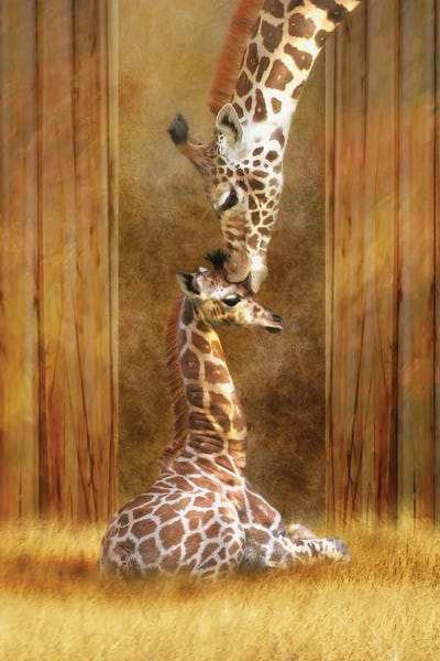 Giraffes: Love by Trudi Simmonds