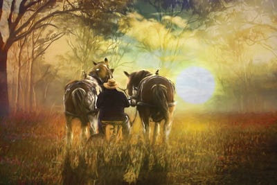 Heading Home by Trudi Simmonds metal wall art