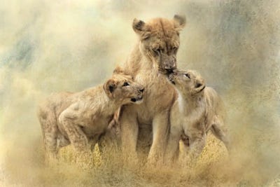 Mamma by Trudi Simmonds metal wall art