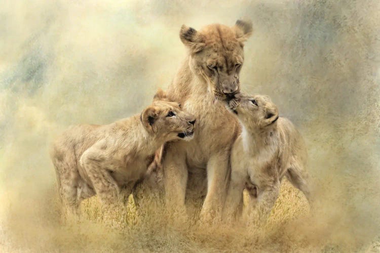 Mamma by Trudi Simmonds wall art