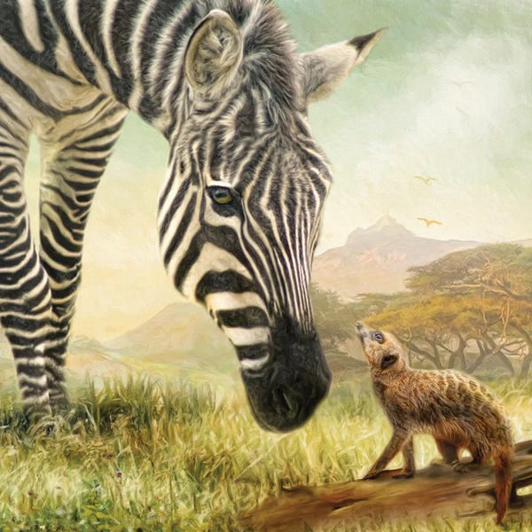 Zebras: Meerly Friends by Trudi Simmonds