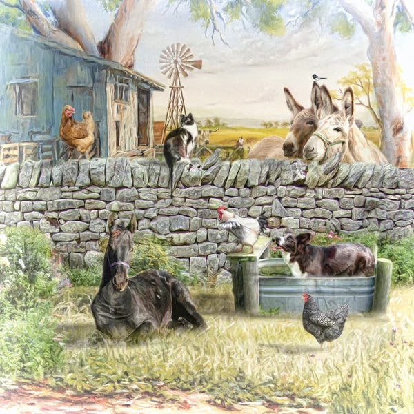 Donkeys: Minding Reimo by Trudi Simmonds