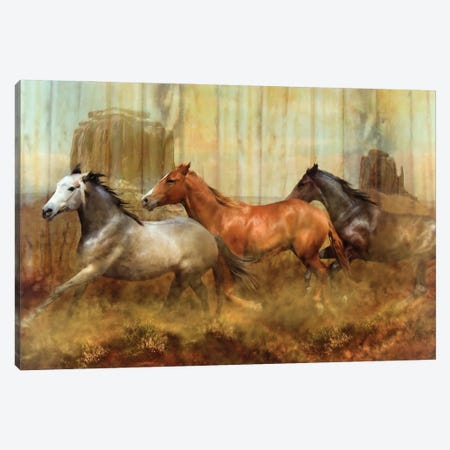 Mustang Alley Canvas Print #TRO64} by Trudi Simmonds Art Print