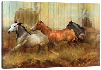 Mustang Alley Canvas Art Print - Trudi Simmonds