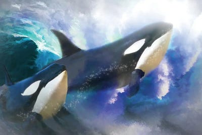 Orca Wild by Trudi Simmonds metal wall art