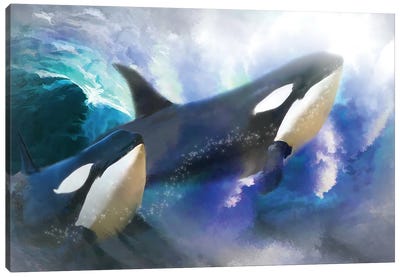 Orca Wild Canvas Art Print - Orca Whale Art