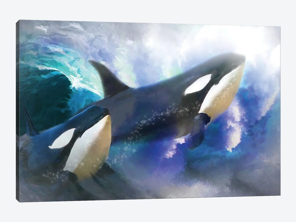 Orca Wild by Trudi Simmonds 1-piece Canvas Art Print