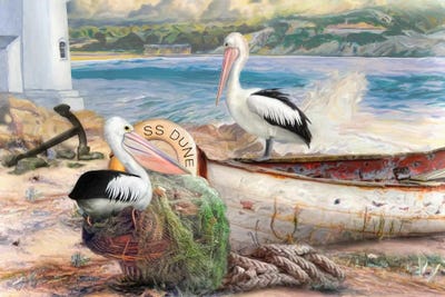 Pelican Cove by Trudi Simmonds framed wall art