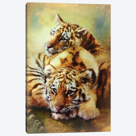 Little Tigers Canvas Print #TRO72} by Trudi Simmonds Canvas Art Print