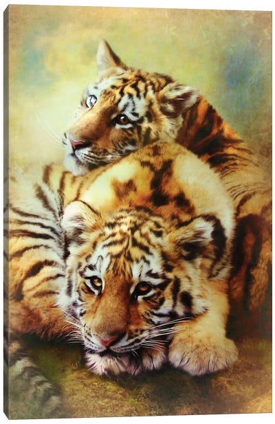 Little Tigers Canvas Art Print - Trudi Simmonds