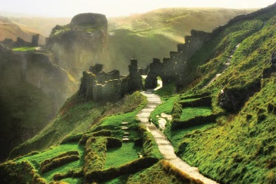 Rising From A Legend by Trudi Simmonds art print