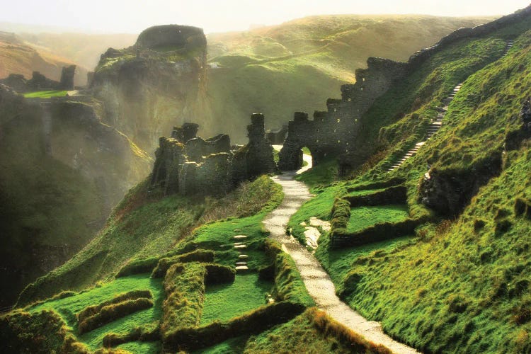 Rising From A Legend by Trudi Simmonds wall art