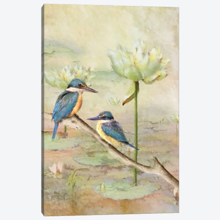Sacred Kingfisher Canvas Print #TRO76} by Trudi Simmonds Canvas Wall Art